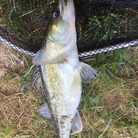 Clodeguy Dom wakacyjny